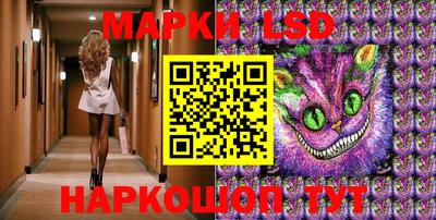 Альфа ПВП Новозыбков