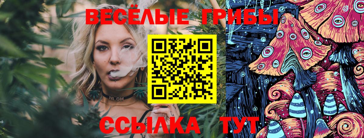 Семилуки  Галлюциногенные грибы прущие грибы  Вход с VPN 
