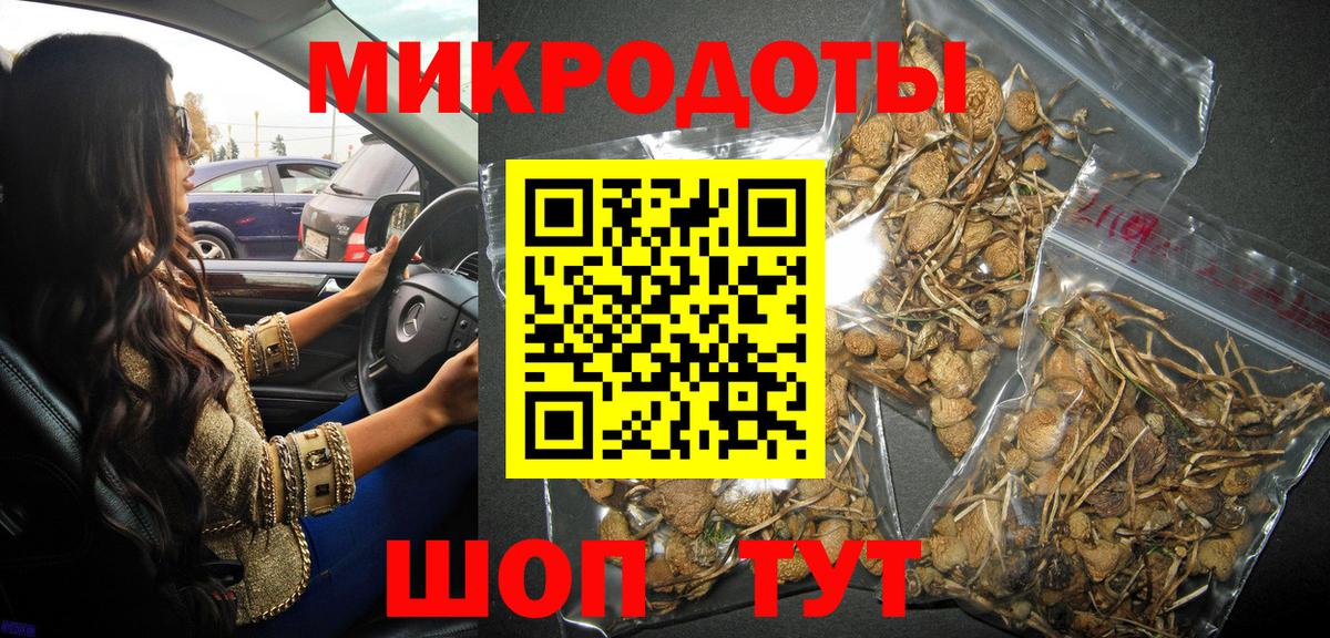 Псилоцибиновые грибы Psilocybe Семилуки